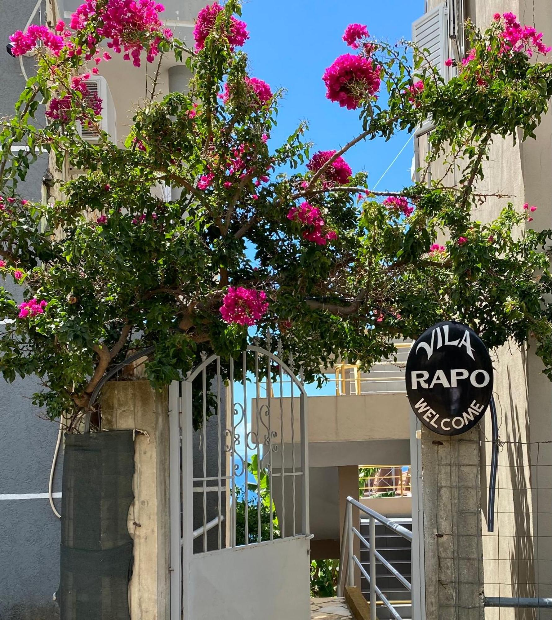 הימארה Vila Rapo מראה חיצוני תמונה